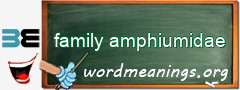 WordMeaning blackboard for family amphiumidae